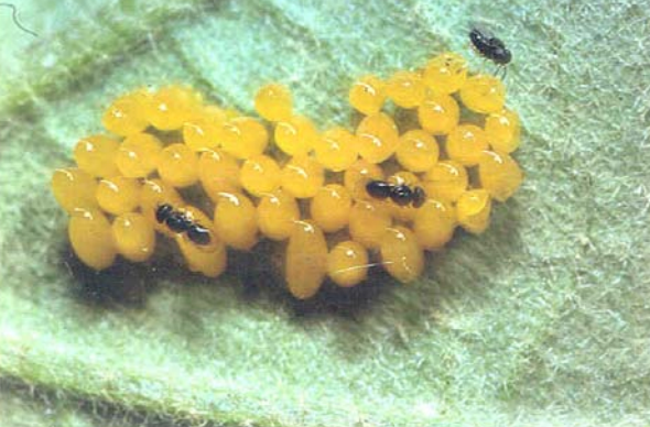 Screen Shot 2022-03-05 at 12.18.37 PM